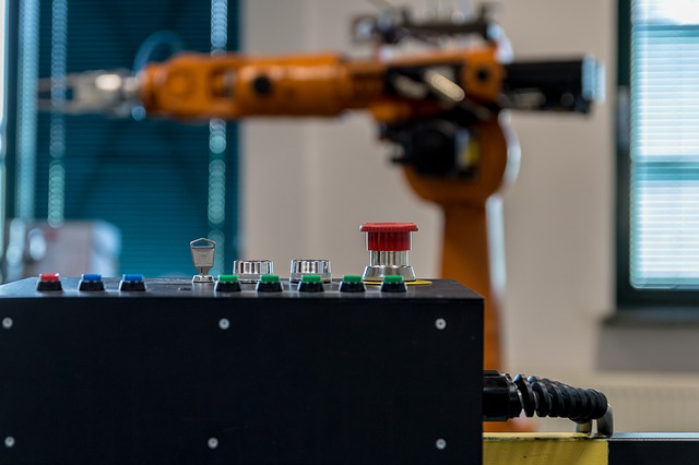 Prvé domáce roboty